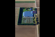 Oblique view of Sudetenhof in Steinweiler in the state Rhineland-Palatinate, Germany