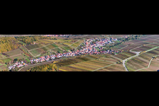 Panoramic perspective Village - view between wine yards in Ranschbach in the state Rhineland-Palatinate, Germany
