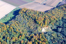 Aerial view of Sand pit in the forest in the district Ingenheim in Billigheim-Ingenheim in the state Rhineland-Palatinate, Germany