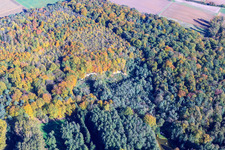 Aerial photograpy of Sand pit in the forest in the district Ingenheim in Billigheim-Ingenheim in the state Rhineland-Palatinate, Germany