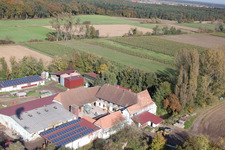 Leistenmühle in Erlenbach bei Kandel in the state Rhineland-Palatinate, Germany seen from above