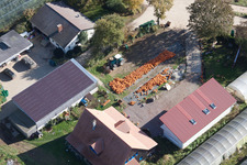 Farm with a lot of pumpkins in Kandel in the state Rhineland-Palatinate