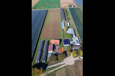 Aerial photograpy of Holderbühlerhof pumpkin harvest in Kandel in the state Rhineland-Palatinate, Germany