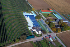 Zapf Fruit and Asparagus Farm in Kandel in the state Rhineland-Palatinate, Germany