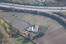Edgar-Heller-Straße, nursery in the district Durlach in Karlsruhe in the state Baden-Wuerttemberg, Germany