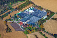 Oblique view of Geraniums Endisch GmbH in Hagenbach in the state Rhineland-Palatinate, Germany