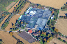 Geraniums Endisch GmbH in Hagenbach in the state Rhineland-Palatinate, Germany from above