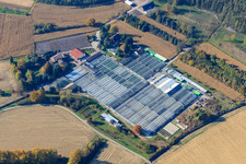 Geraniums Endisch GmbH in Hagenbach in the state Rhineland-Palatinate, Germany seen from above