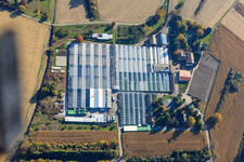 Geraniums Endisch GmbH in Hagenbach in the state Rhineland-Palatinate, Germany viewn from the air