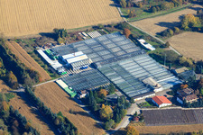 Drone recording of Geraniums Endisch GmbH in Hagenbach in the state Rhineland-Palatinate, Germany