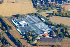 Drone image of Geraniums Endisch GmbH in Hagenbach in the state Rhineland-Palatinate, Germany