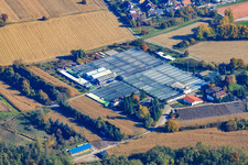 Geraniums Endisch GmbH in Hagenbach in the state Rhineland-Palatinate, Germany from a drone