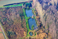 Fishponds towards Barbelroth in Barbelroth in the state Rhineland-Palatinate, Germany