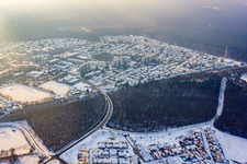 Dorschberg in winter with snow in Wörth am Rhein in the state Rhineland-Palatinate, Germany