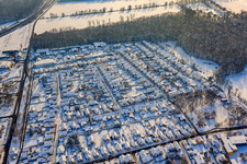 Aerial view of Settlement in winter with snow in Kandel in the state Rhineland-Palatinate, Germany