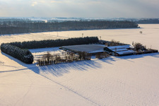 Sudetenhof in winter with snow in Steinweiler in the state Rhineland-Palatinate, Germany