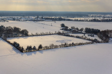 Paddock of Trakehner-Friedrich in winter with snow in Minfeld in the state Rhineland-Palatinate, Germany