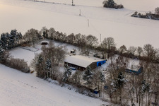 Film animal school Zimek, dog boarding in winter with snow in Minfeld in the state Rhineland-Palatinate, Germany