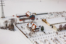 Aerial photograpy of Schoßberghof in winter with snow in Minfeld in the state Rhineland-Palatinate, Germany