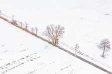High seat at Neugraben in the Otterbach lowlands during snowfall in winter in Freckenfeld in the state Rhineland-Palatinate, Germany