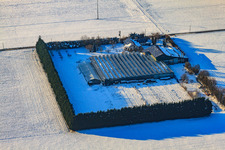 Sudetenhof in snow in winter in Steinweiler in the state Rhineland-Palatinate, Germany