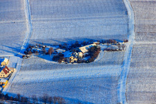 Winegrower with grass roof in winter in the snow in the district Wollmesheim in Landau in der Pfalz in the state Rhineland-Palatinate, Germany