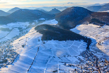 Almond hein Birkweiler in winter with snow in Birkweiler in the state Rhineland-Palatinate, Germany