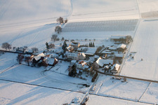 Wintry snowy Panel rows of photovoltaic turnable roof of a stable in the district Deutschhof in Kapellen-Drusweiler in the state Rhineland-Palatinate