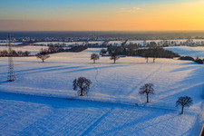 Fields and nut trees in the evening in winter with snow in Vollmersweiler in the state Rhineland-Palatinate, Germany