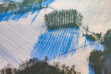Barren woodland in a field covered in snow during winter in Berg in the state Rhineland-Palatinate, Germany