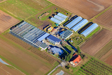 Farm shop Rainer & Sandra Kästel GbR in the district Geinsheim in Neustadt an der Weinstraße in the state Rhineland-Palatinate, Germany