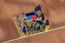 Binsenhof in Zeiskam in the state Rhineland-Palatinate, Germany