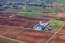 Oblique view of Hortulanushof Vegetable Farming - Dieter Stubenbordt in Zeiskam in the state Rhineland-Palatinate, Germany