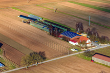 Resettlement farms on Mühlweg in Hördt in the state Rhineland-Palatinate, Germany