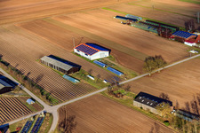 Aerial photograpy of Resettlement farms on Mühlweg in Hördt in the state Rhineland-Palatinate, Germany
