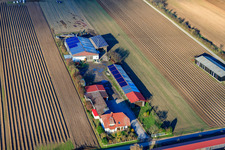 Alois Böhm Hofladem on Mühlweg in Hördt in the state Rhineland-Palatinate, Germany