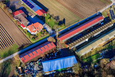 Aerial view of Alois Böhm Hofladem on Mühlweg in Hördt in the state Rhineland-Palatinate, Germany