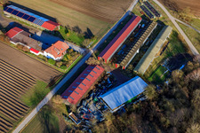 Oblique view of Alois Böhm Hofladem on Mühlweg in Hördt in the state Rhineland-Palatinate, Germany