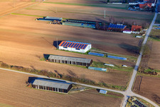 Oblique view of Resettlement farms on Mühlweg in Hördt in the state Rhineland-Palatinate, Germany