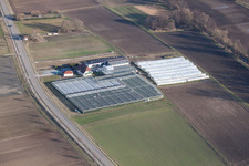 Aerial photograpy of Organic gardening/shop in Herxheim bei Landau in the state Rhineland-Palatinate, Germany