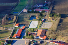 Stud farm at the Zirker KG fruit farm in Herxheim bei Landau in the state Rhineland-Palatinate, Germany