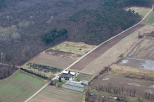 Nursery at Erlenbach in Erlenbach bei Kandel in the state Rhineland-Palatinate, Germany
