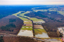 Flooded meadows of the Otterbach lowlands in Kandel in the state Rhineland-Palatinate, Germany