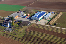 Farmer's Garden in Winden in the state Rhineland-Palatinate, Germany seen from a drone
