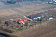 Oblique view of Egg farm in Erlenbach bei Kandel in the state Rhineland-Palatinate, Germany