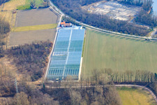 Nursery in the district Sondernheim in Germersheim in the state Rhineland-Palatinate, Germany