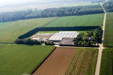 Sudetenhof in Steinweiler in the state Rhineland-Palatinate, Germany from above