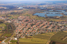 View of the town from the south in the district Oberhausen in Oberhausen-Rheinhausen in the state Baden-Wuerttemberg, Germany