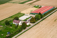 Fohlenhof horse farm in Steinweiler in the state Rhineland-Palatinate, Germany