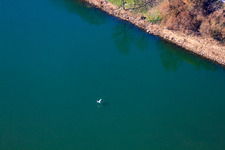 Aerial view of Flying swan over the Neckar in the district Neckarwimmersbach in Eberbach in the state Baden-Wuerttemberg, Germany